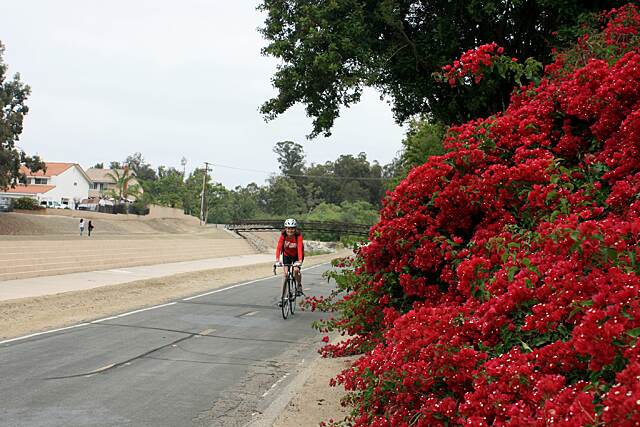 aliso creek bikeway