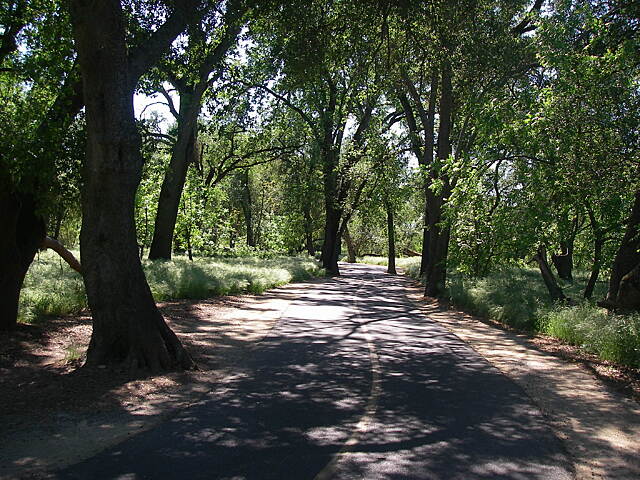 jedediah smith memorial trail