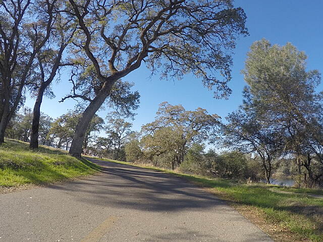 jedediah smith bike trail