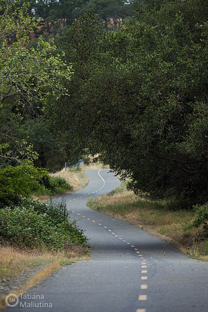 american river bike trail rules