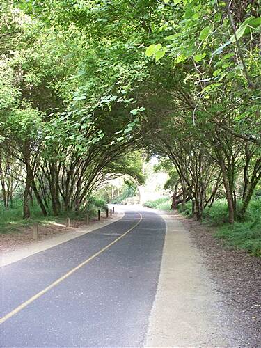 jedediah smith bike trail