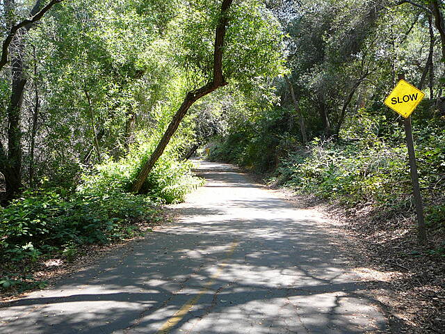 jedediah smith bike trail