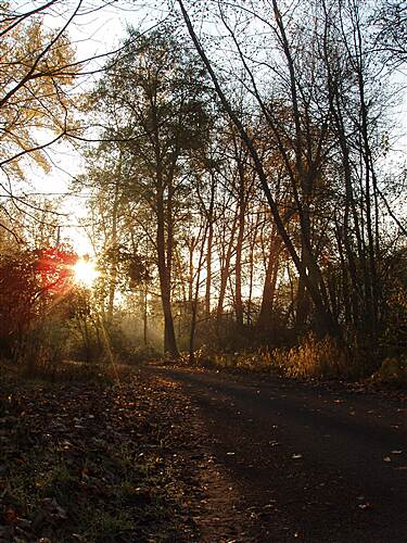 Bear Creek Greenway Photos 