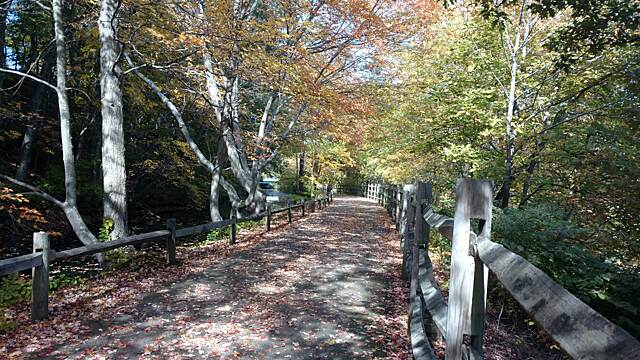 blackstone river greenway