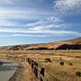 Coyote Creek Trail (San Jose) Photos | TrailLink