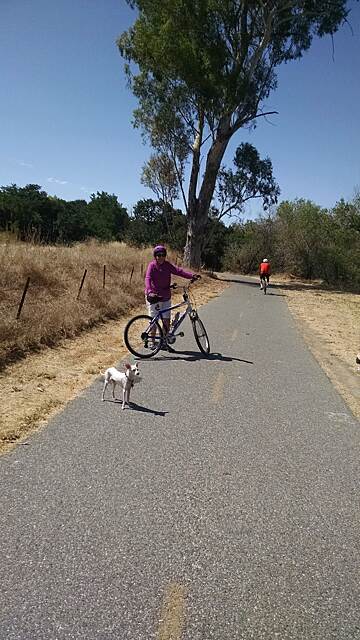 Coyote Creek Trail (San Jose) Photos | TrailLink