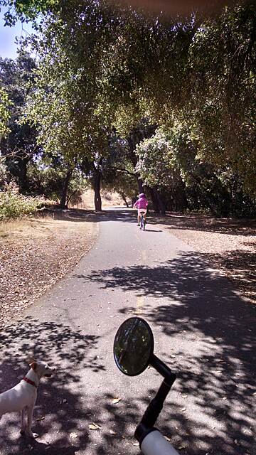 Coyote Creek Trail (San Jose) Photos | TrailLink