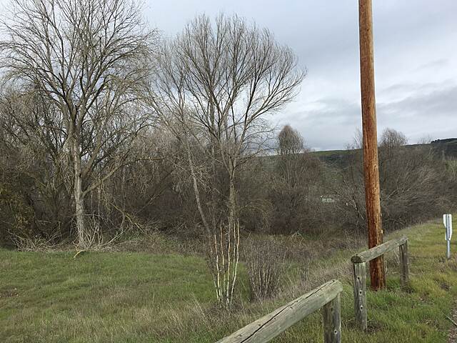 Coyote Creek Trail (San Jose) Photos | TrailLink