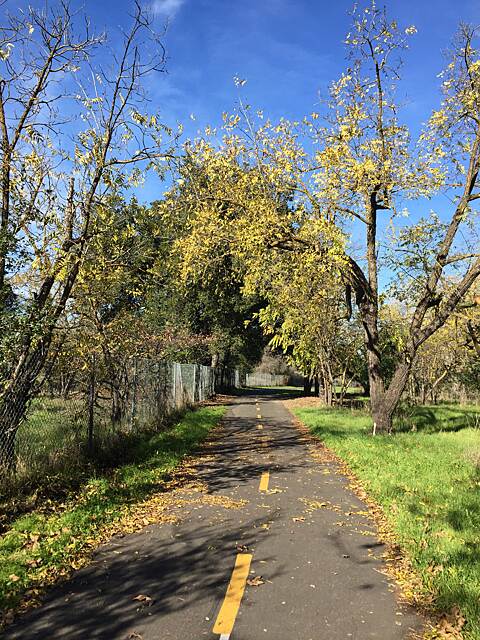 Coyote Creek Trail (San Jose) Photos | TrailLink