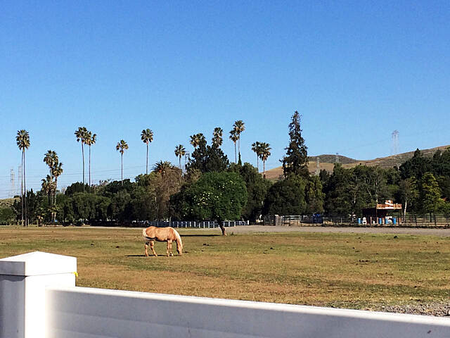 Coyote Creek Trail (San Jose) Photos | TrailLink