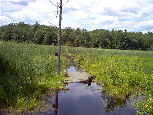 farmington canal trail loop