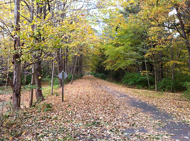 farmington canal bike trail