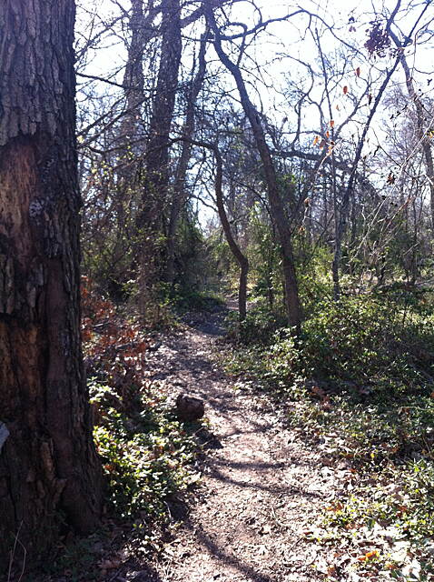 Oak Point Park Nature Preserve Trail Photos TrailLink