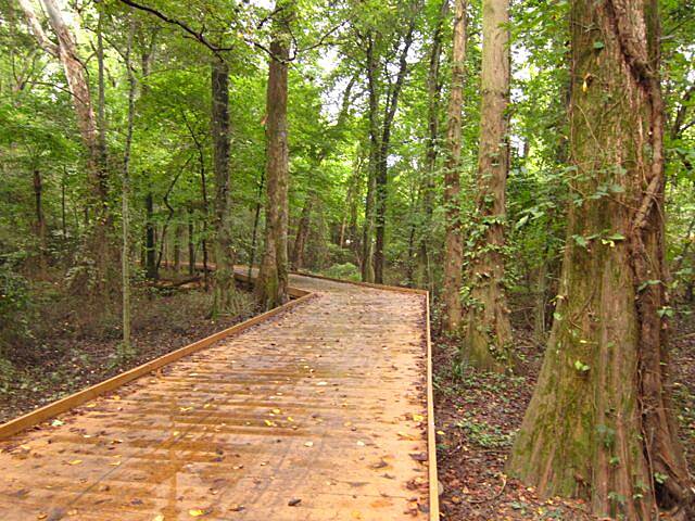 shelby farms bike trail