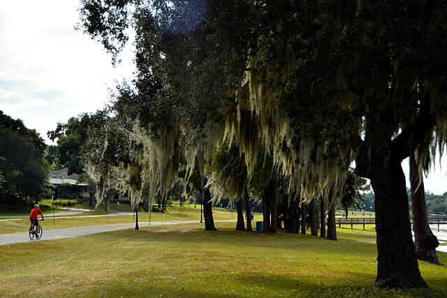 South Lake And Lake Minneola Scenic Trail Photos | TrailLink