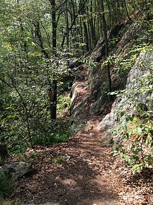 Switchback Railroad Trail | Pennsylvania Trails | TrailLink.com