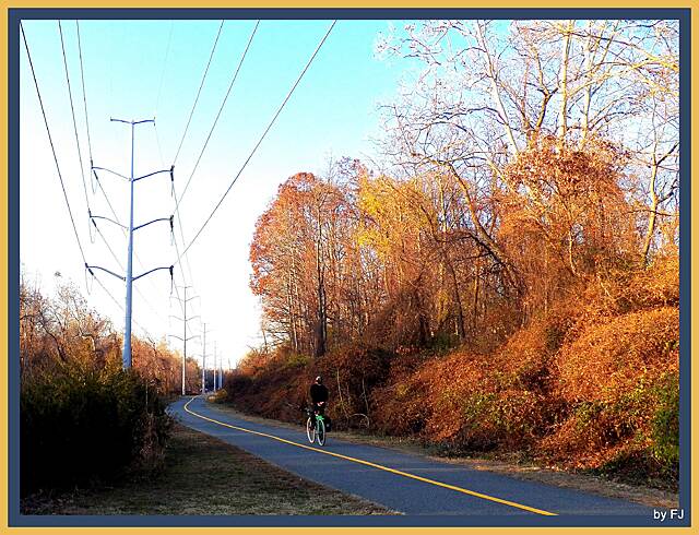 Washington And Old Dominion Railroad Regional Park (W&OD) Photos ...